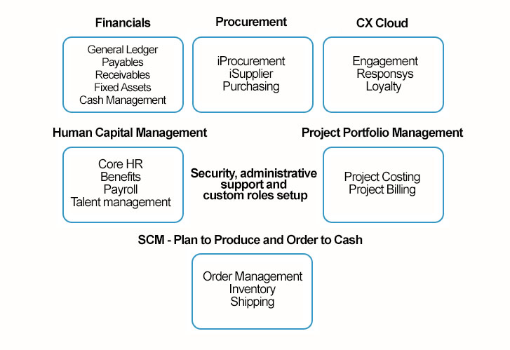 SAP Business Suite Powered By HANA   SAP HANA          SAP- SAP HANA Proof-of-Concept  POC    SAP  SAP    -